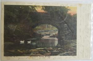 Woolerton Street Bridge Delhi NY 1907