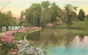 SC, Charleston, South Carolina, Middleton Place Gardens, Hand Colored, Albertype