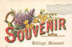 J3/ Billings Missouri Postcard c1910 Souvenir Greetings from Billings 52