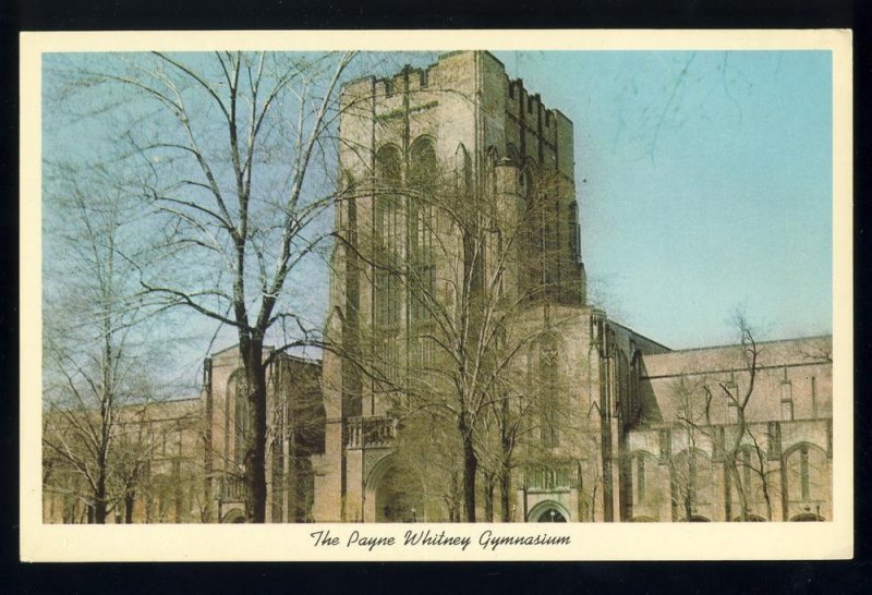 New Haven, Connecticut/CT Postcard, Peabody Museum Natural History