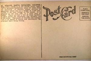 pre-1920 Unused BOAT IN AVALON HARBOR Catalina Island California CA card v1058