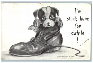 Puppy Dog In The Shoe I'm Stuck Here For A While Miles City Butte RPO Postcard