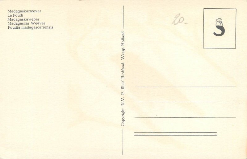 Birds themed postcard Madagascar Weaver