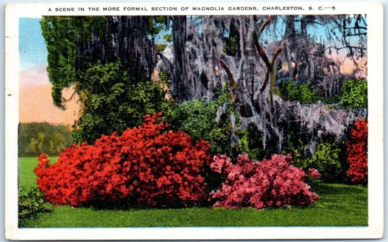 A Scene In The More Formal Section Of Magnolia Gardens - Charleston, S. C.