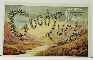 Language of Flowers GOOD LUCK White Heather New Haven to Ann Arbor Postcard H18