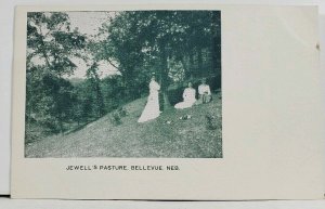 Bellevue Nebraska JEWELL'S PASTURE c1905 udb Postcard L18