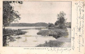 Elizaville New York Upper Lake, Undivided Back Vintage Postcard U12597