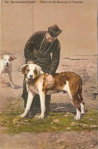 \Chien St.Bernard a l'hospice\ Antique Swiss postcard