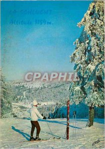 Postcard Modern Col de la Schlucht Alt 1159 m station Winter and Summer overv...