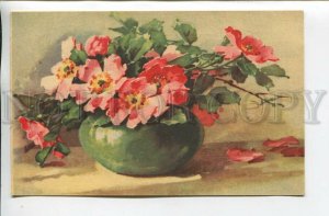 462169 Catharina KLEIN dog rose in green Vase Vintage postcard