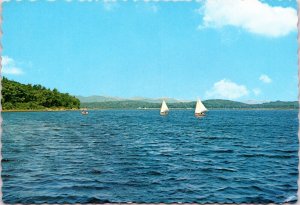 Postcard Scenic - Sailboats on Lake