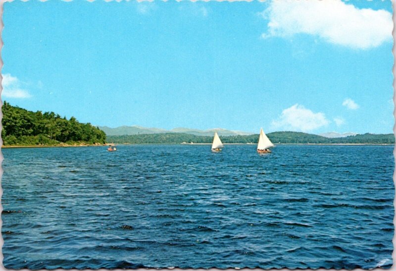 Postcard Scenic - Sailboats on Lake