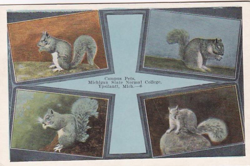 Michigan Ypsilanti Campus Pets Michigan State Normal College