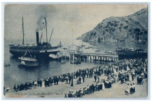 1913 Arrival Steamer Cabrillo Dock Catalina Island California Vintage Postcard