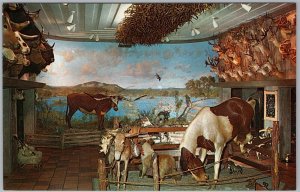 Texas Room Lone Star Brewing Longhorn Hall San Antonio Postcard H81