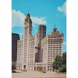 Wrigley Building North Michigan Avenue Chicago Illinois Postcard Street View