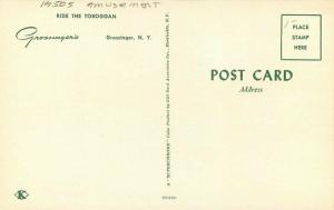 Amusement Toboggan Grossingers New York 1950s Postcard Bard 4732