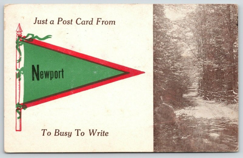 Just a Card from Newport Vermont~Too Busy to Write~Narrow Trail~1913 Pennant 