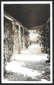 Will Rogers Home (5) Different Cards Santa Monica California RPPC Unused c1930s