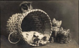 Columbus Ohio OH Photo Crafts Kittens in Basket c1910 Real Photo Postcard