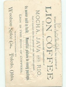 Divided-Back BIRDS SCENE Pretty Postcard AA8785