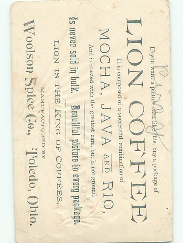 Divided-Back BIRDS SCENE Pretty Postcard AA8785