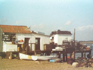 Fishermens Huts at Felixstowe Ferry Suffolk Vintage Postcard by Mrs P Vincent