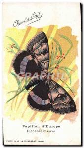 Old Postcard Butterfly d & # 39Europe Lichenee purple Chocolate Louit