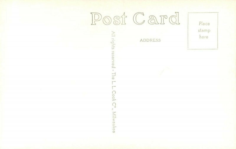 RPPC Postcard; Unpaved Road in Wapsinicon State Park, Anamosa IA LL Cook E-98
