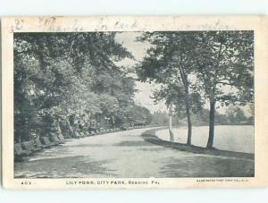 Pre-1907 LILY POND IN CITY PARK Reading Pennsylvania PA n6374