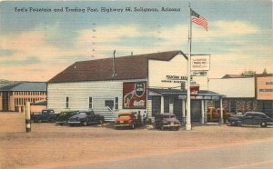 Postcard 1948 Arizona Seligman Ted's Fountain Trading Post Highway 66 AZ24-1888