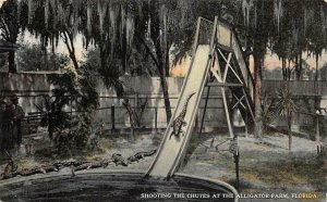 SHOOTING THE CHUTES ALLIGATOR FARM FLORIDA POSTCARD (c. 1910)