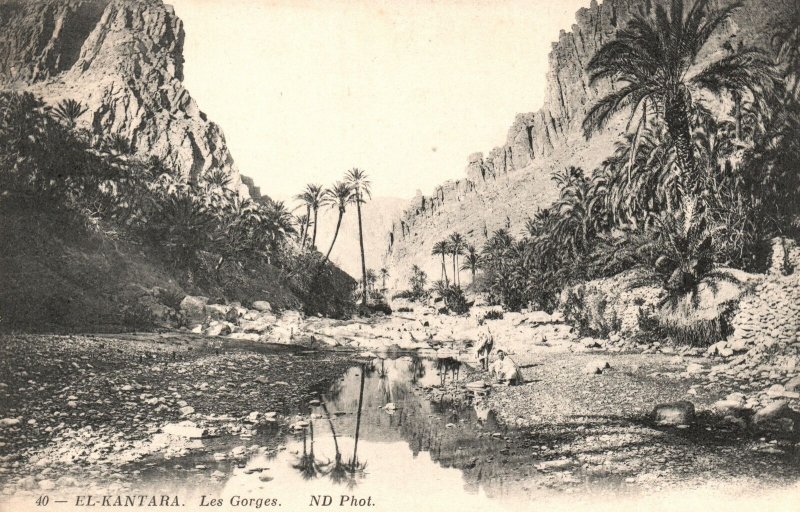 Vintage Postcard 1910's El-Kantara Les Gorges El Kantara, Algeria
