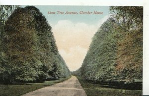 Nottinghamshire Postcard - Lime Tree Avenue, Clumber House, Nottingham - TZ1276