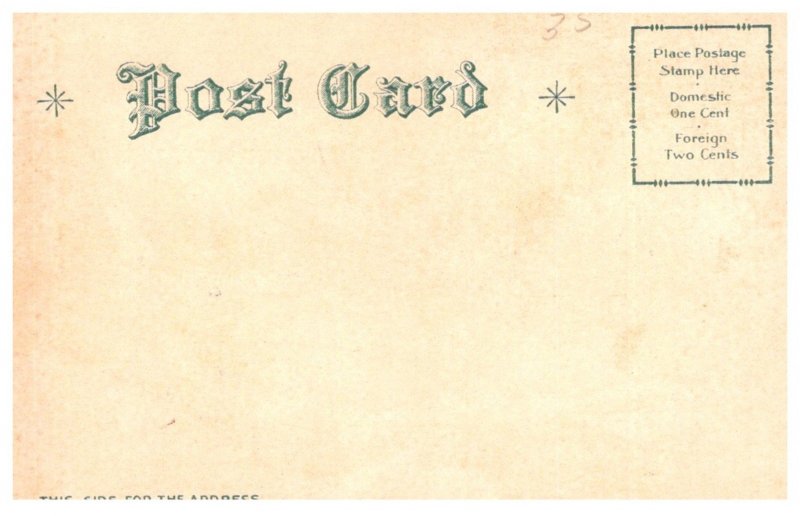 Dog , Terrier puppies tearing briefcase