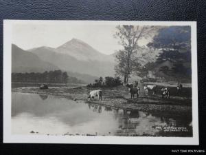 c1920's RPPC - Derwentwater and Causey Pike - showing cows crassing