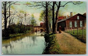 Blekinge  Sweden  Postcard