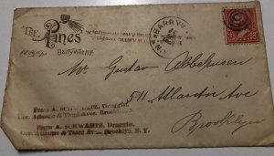 Vtg 1895 Lot of 2 THE PINES Shohola Glen Barryville New York Letterhead Envelope