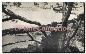 Postcard Old Cap D'Antibes Eilenroc Les Pins Maritimes