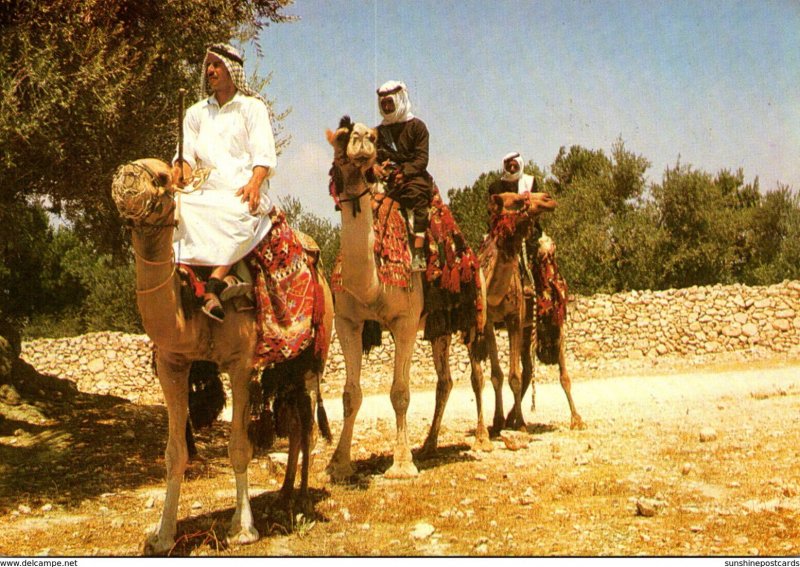 Israel Cavaliers De Chameaux Travellers On Camels Ships Of The Desert