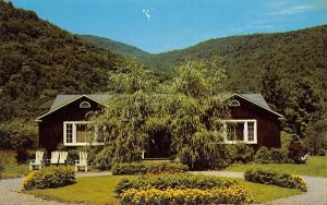 Elizabeth house Big Indian Postcard