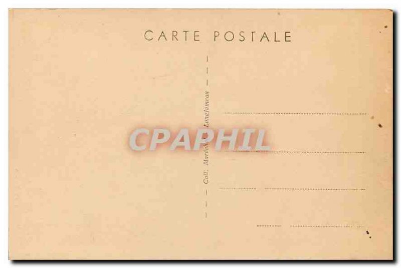 Old Postcard Seals Carthusian S and O The Seals Rocks