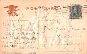 Bear Post Card Old Vintage Antique Teddy B postal used unknown