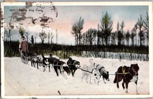 Alaska Dog Team Dogsled Musher Vintage Postcard O54