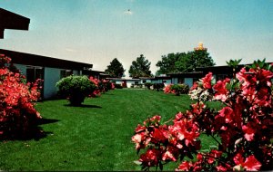 South Caraolina Dillon South Of The Border Pedro's Gardens