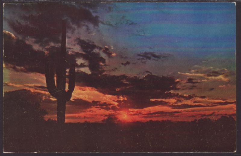Desert Sunset Postcard BIN