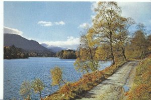 Scotland Postcard - Loch Beneveian - Glen Affric - Inverness-shire  AB116