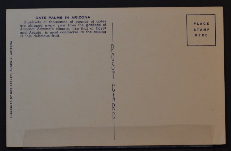 Date Palms in Arizona