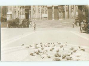 rppc 1920's MANY BIRDS ON GROUND IN FRONT OF BUILDING AC8872