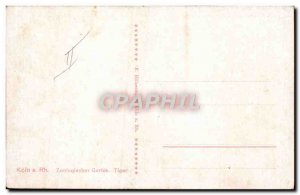 Postcard Old Felin Lion Zoo Koln